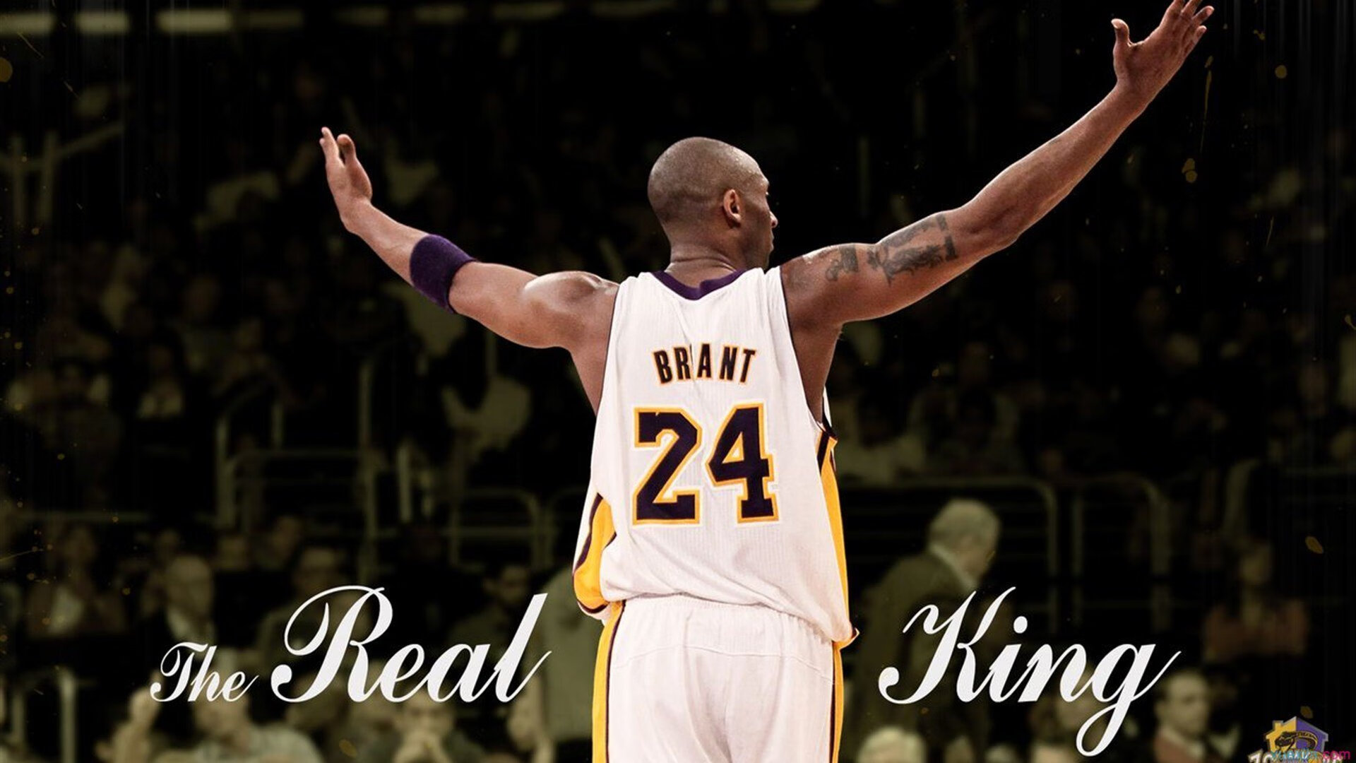 范弗利特节奏，当掌控成为总决赛的终极武器